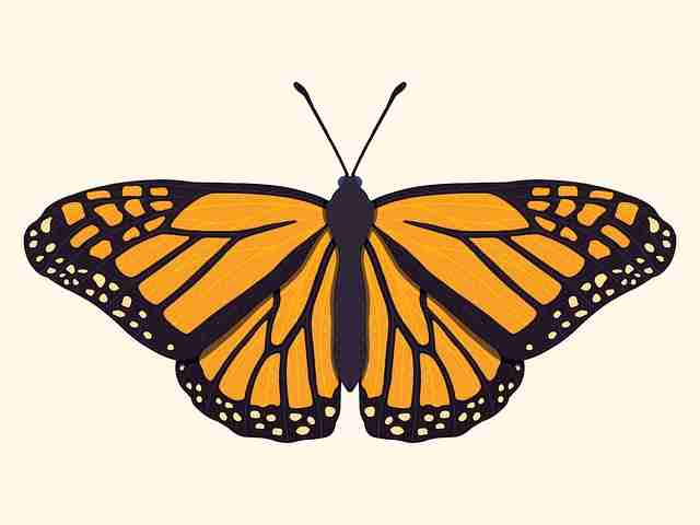 狂飙破圈糖心tv,用户生态:超全解析