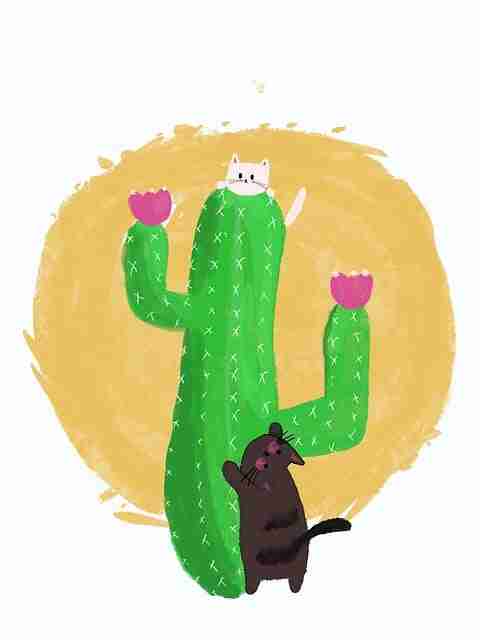 别再错过每日大赛黑料!你不可不知的秘密