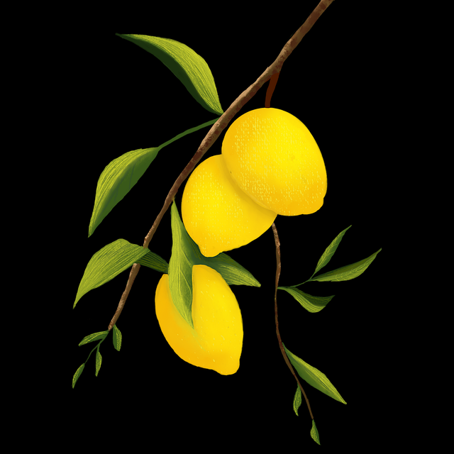 划重点——黑料网入口口碑爆棚指南|新手福音