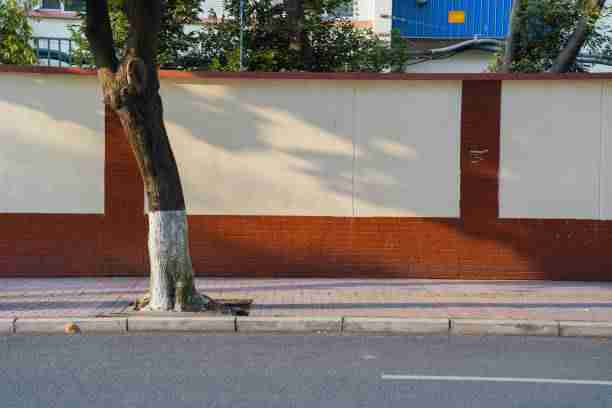 蘑菇视频下载:智能对比与省流量秘籍