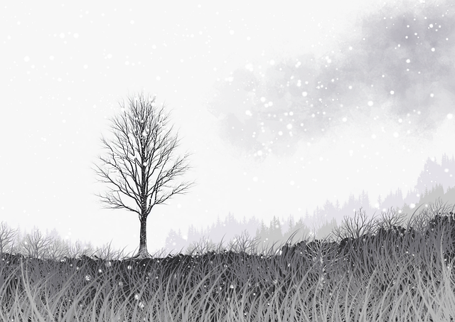 一文读懂糖心vlog新官方入口互动秘籍:破圈指南|2025版